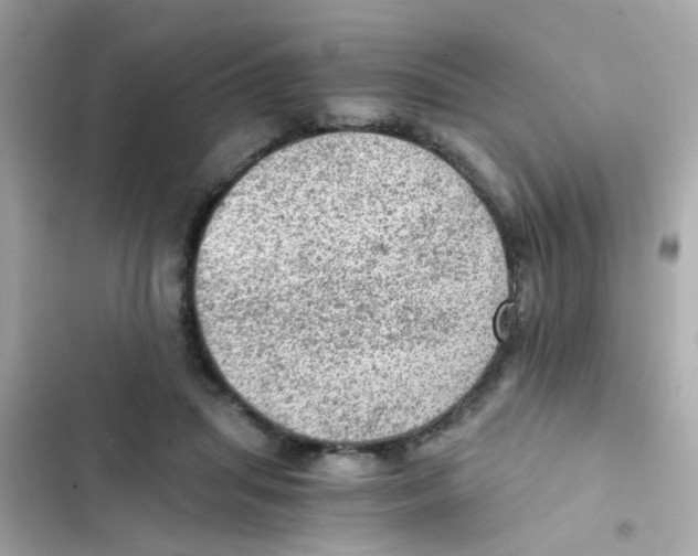 X0000103160455200809192057
