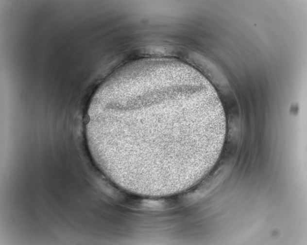X0000103160457200809192057