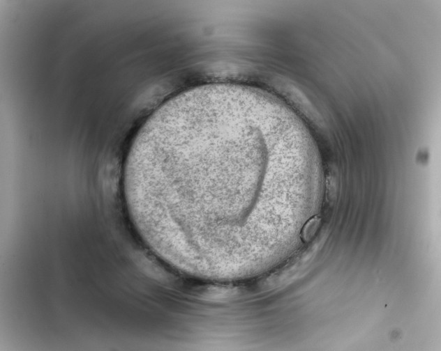 X0000103160458200809192057