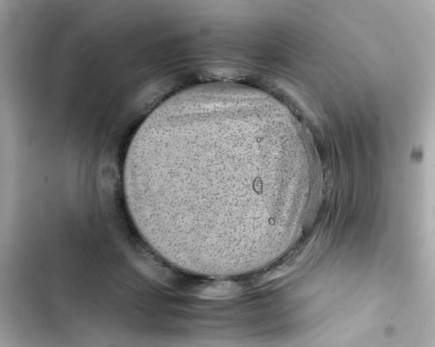X0000103160459200809192057