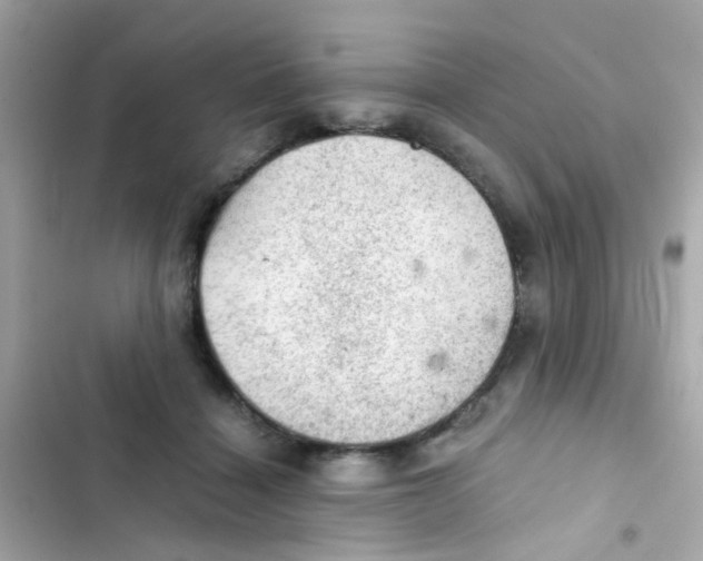 X0000103160460200809192057