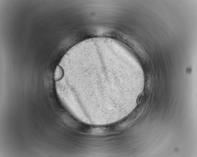 X0000103160461200809192057