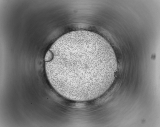 X0000103160462200809192057