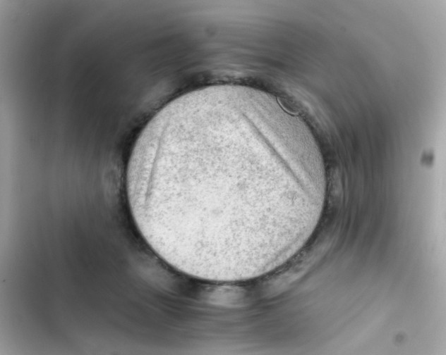 X0000103160463200809192057