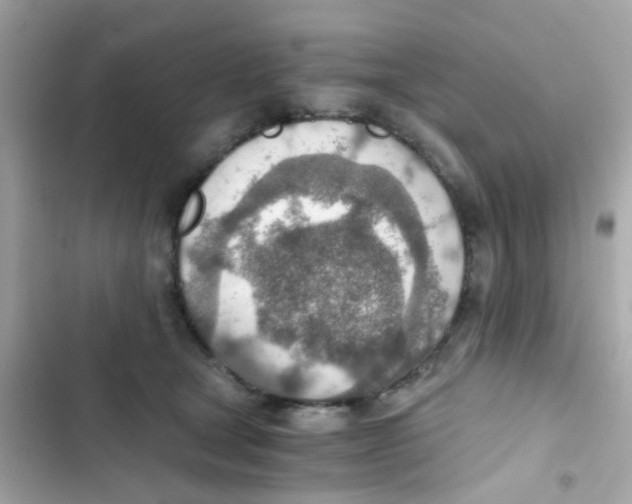 X0000103160465200809192057