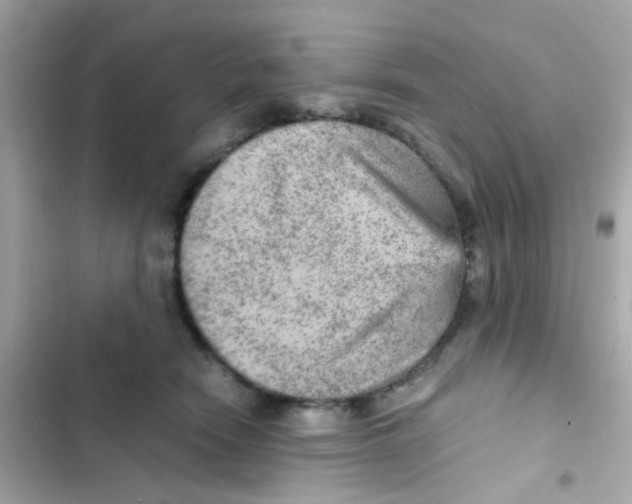 X0000103160466200809192057