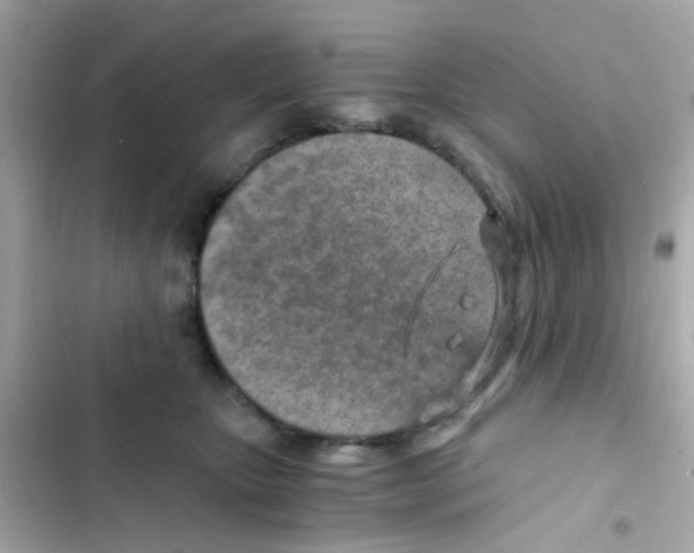 X0000103160467200809192057