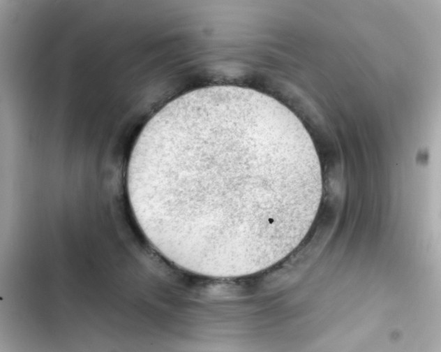 X0000103160468200809192057
