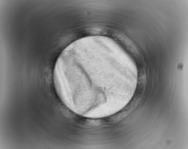 X0000103160469200809192057