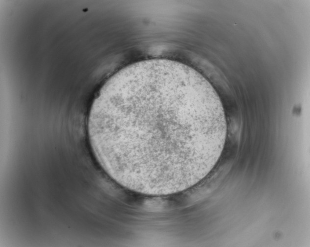 X0000103160470200809192057