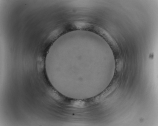 X0000103160471200809192057