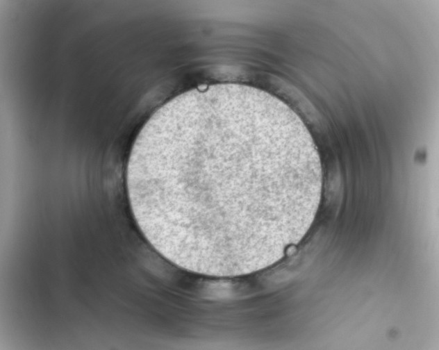 X0000103160473200809192057