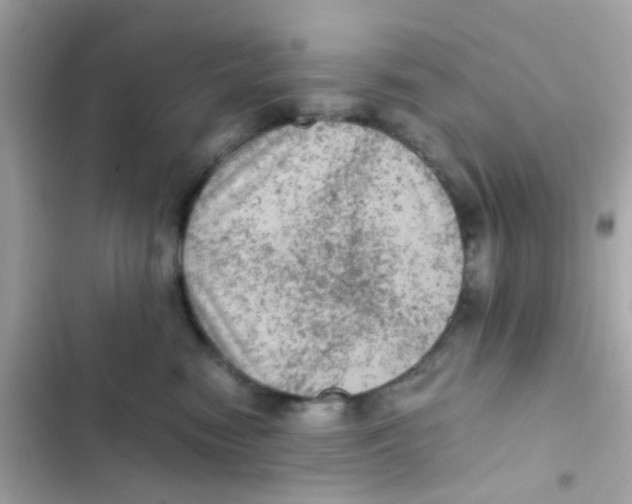 X0000103160474200809192057
