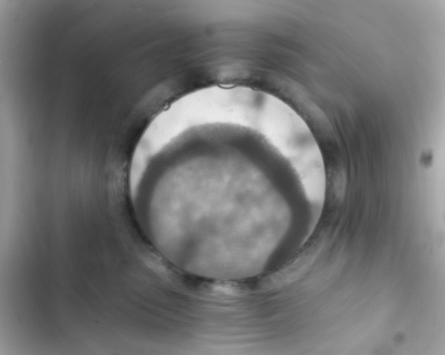 X0000103160475200809192057
