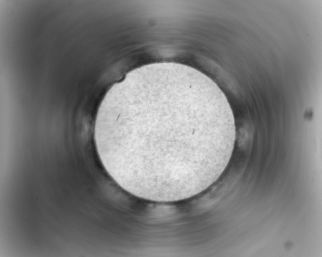 X0000103160476200809192057