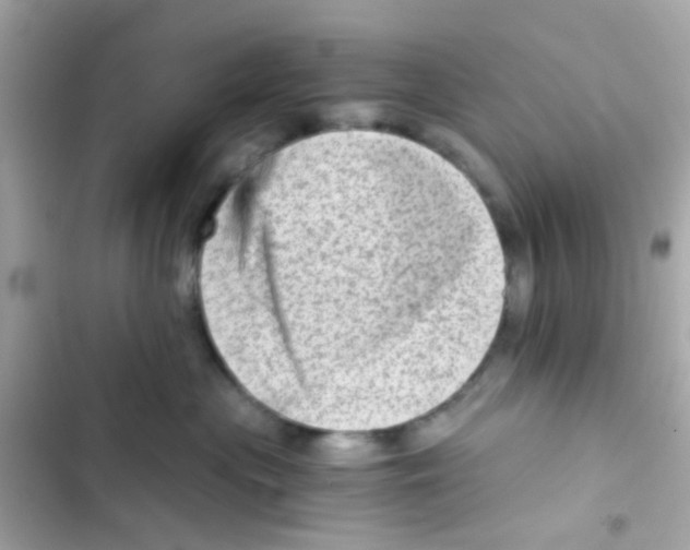 X0000103160477200809192057
