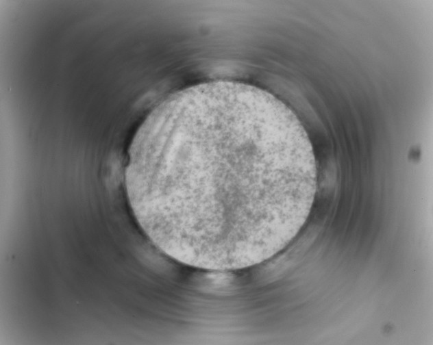 X0000103160478200809192057