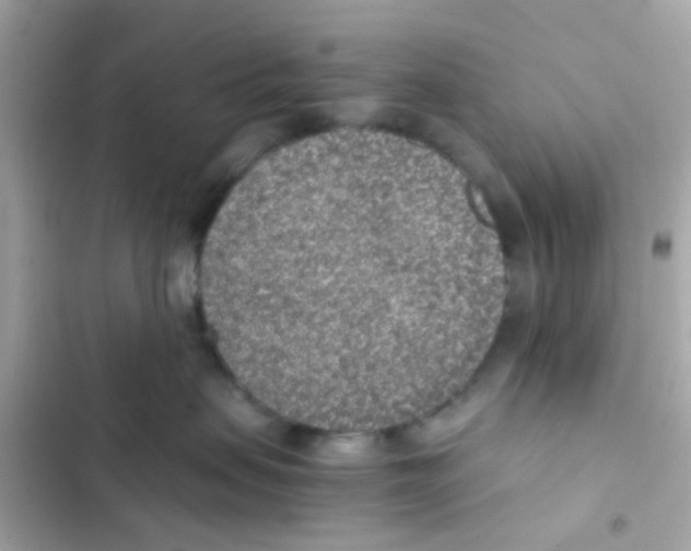 X0000103160479200809192057