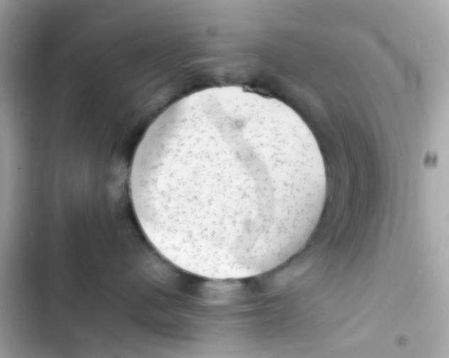 X0000103160480200809192057
