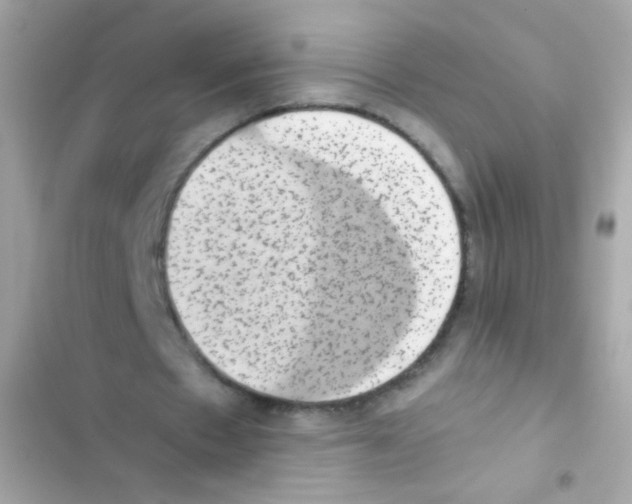 X0000103160481200809192057