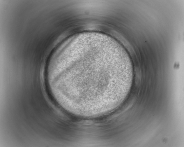 X0000103160482200809192057