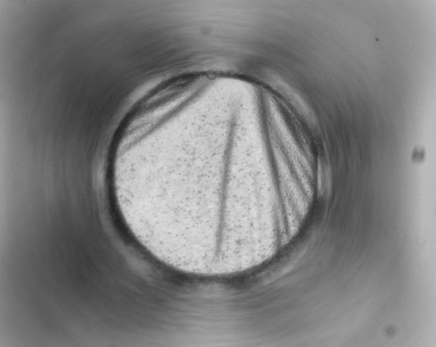 X0000103160483200809192057