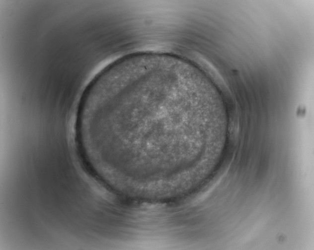 X0000103160484200809192057