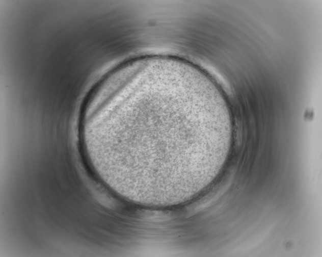 X0000103160486200809192057