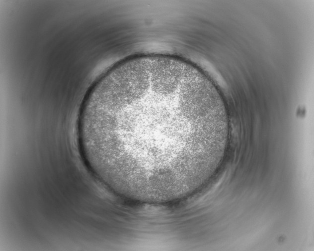 X0000103160487200809192057