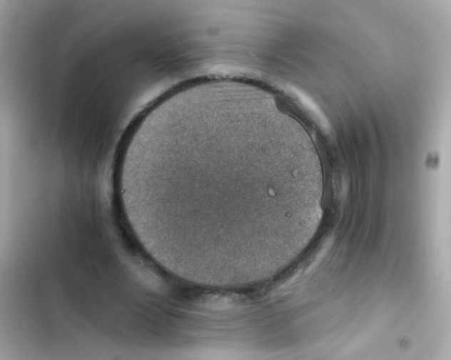 X0000103160488200809192057
