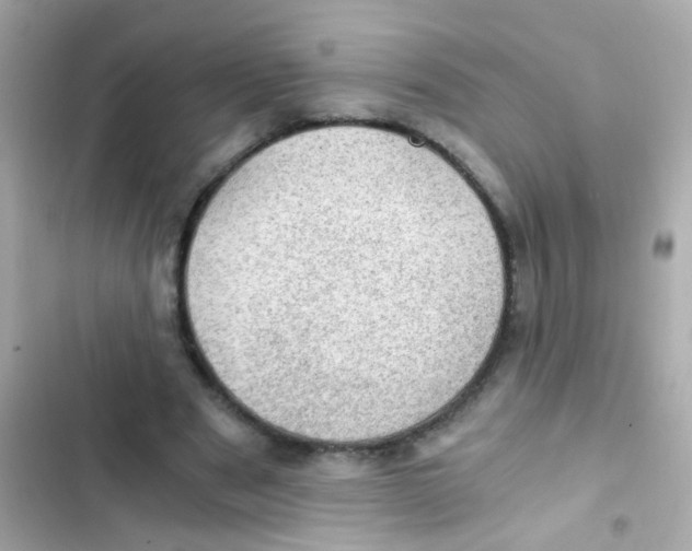 X0000103160489200809192057