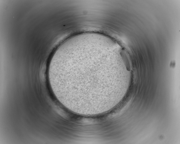 X0000103160490200809192057