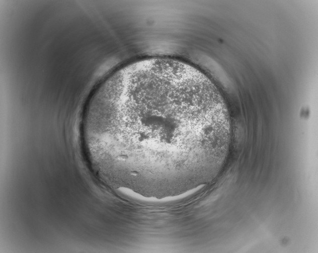 X0000103160491200809192057