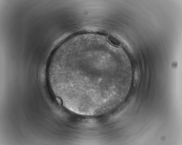 X0000103160492200809192057
