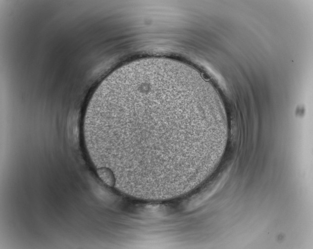 X0000103160493200809192057