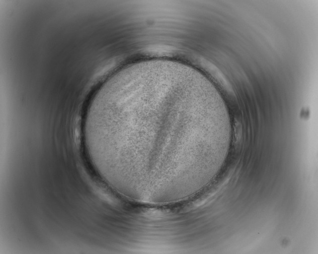 X0000103160494200809192056