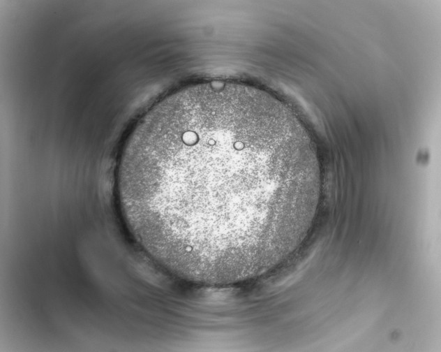X0000103160495200809192056