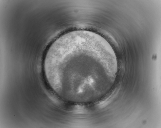 X0000103160496200809192056