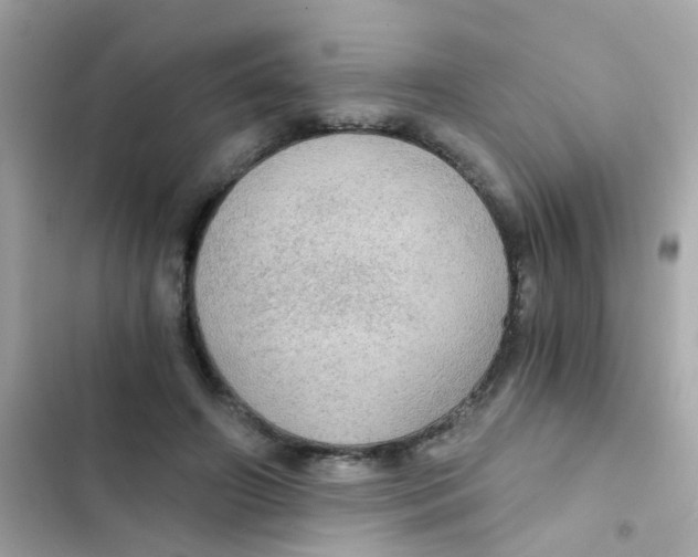 X0000103160498200809192056