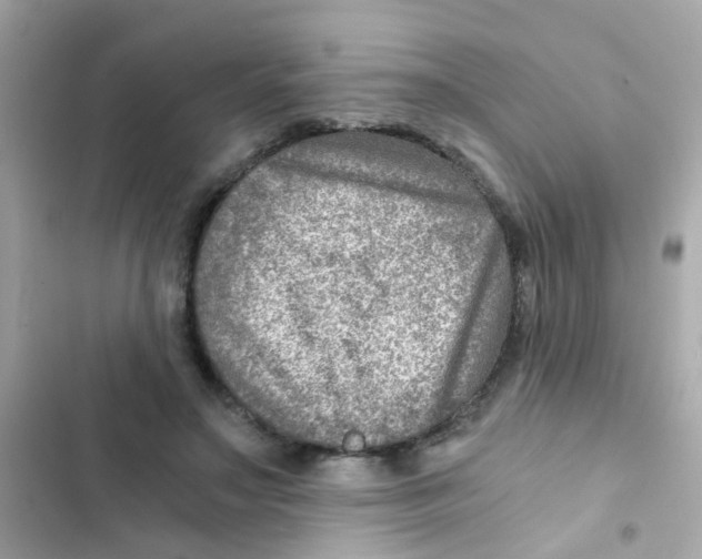 X0000103160499200809192056