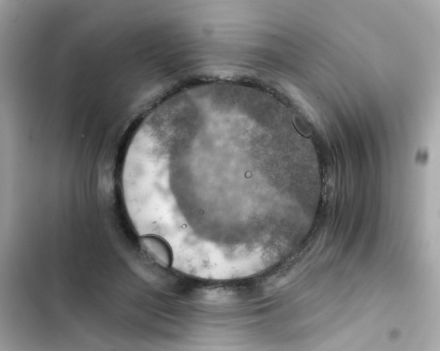 X0000103160500200809192056