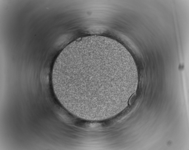 X0000103160501200809192056