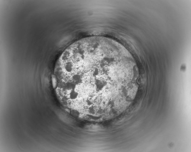 X0000103160503200809192056