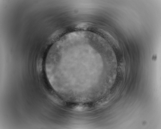 X0000103160504200809192056