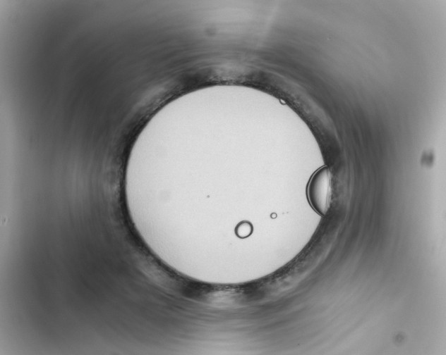 X0000103160505200809192056