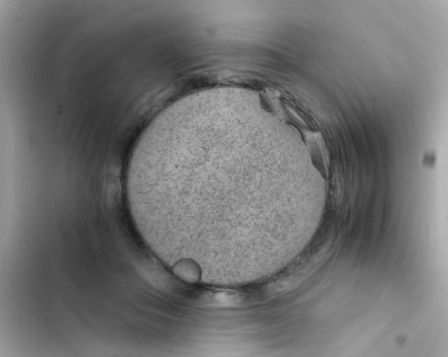 X0000103160506200809192056