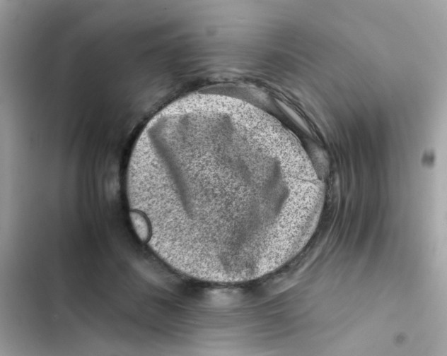 X0000103160508200809192056
