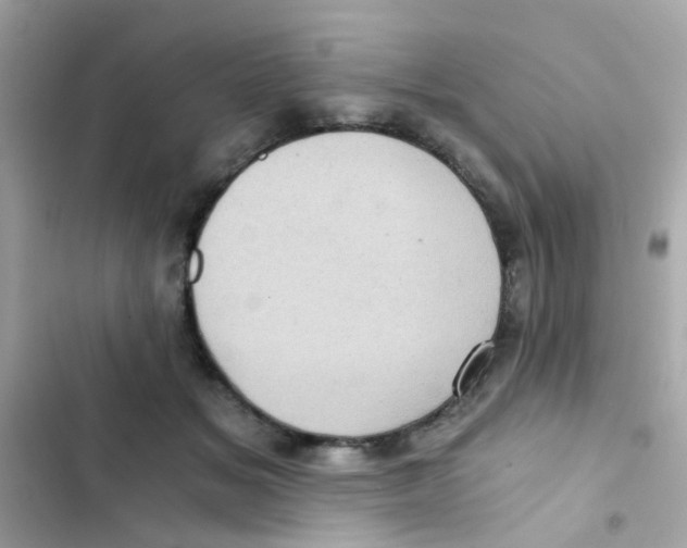 X0000103160509200809192056