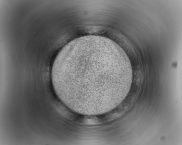 X0000103160510200809192056