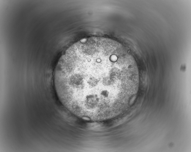 X0000103160511200809192056